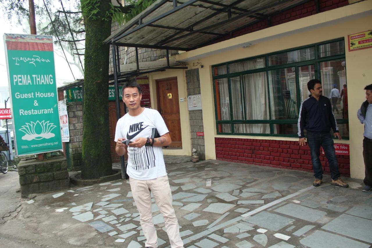 Pema Thang Hotel 康格拉 外观 照片