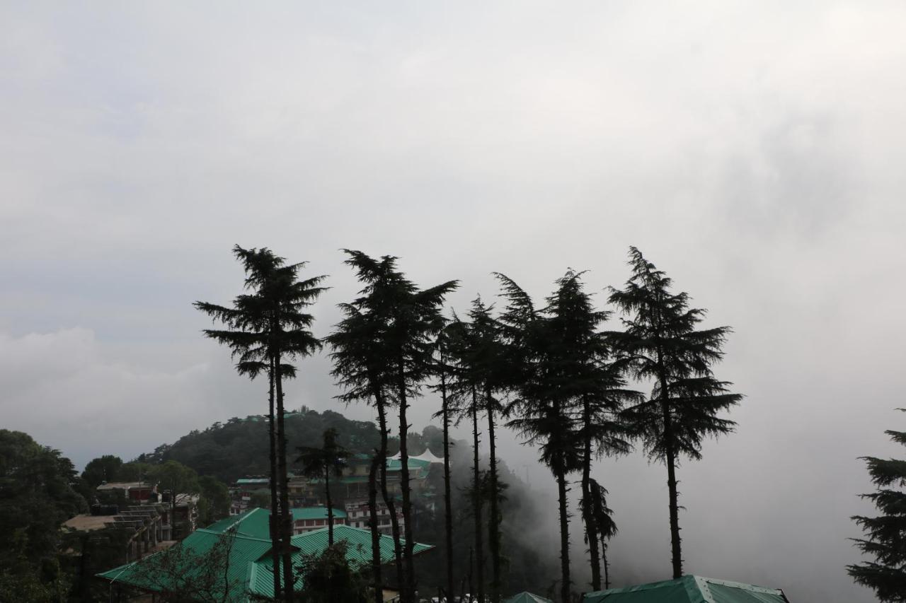 Pema Thang Hotel 康格拉 外观 照片